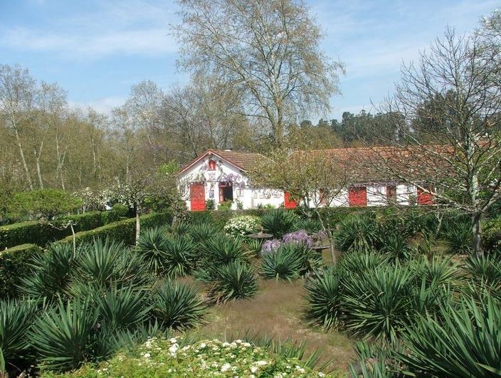 Quinta T2 para Venda em Penafiel