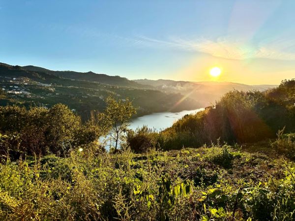 Moradia Rústica Independente com Terreno e Vista Rio Douro – São Tomé de Covelas, Baião Moradia Rústica Independente com Terreno e Vista Rio Douro – São Tomé de Covelas, Baião