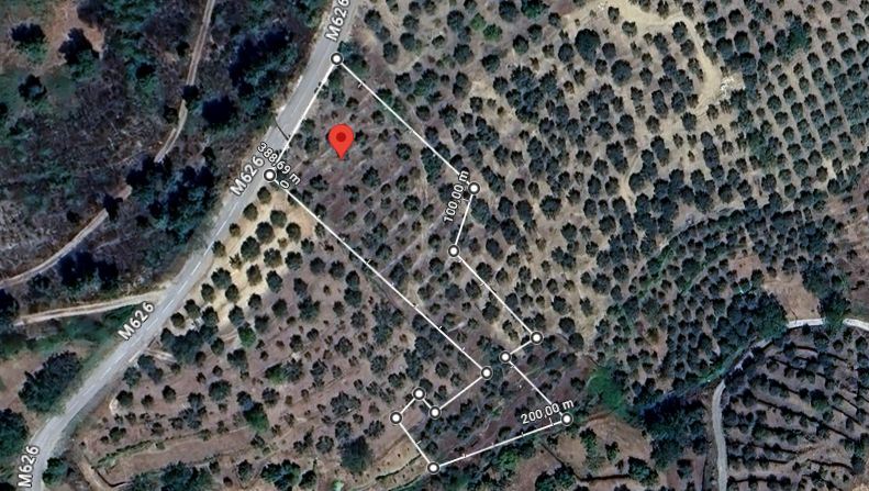 Terreno com 160 oliveiras - Vila Flor Terreno com 160 oliveiras - Vila Flor