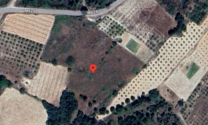 Terreno em Vila Flor com 12.000m2 Terreno em Vila Flor com 12.000m2