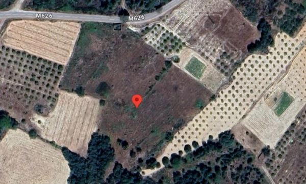 Terreno em Vila Flor com 12.000m2 Terreno em Vila Flor com 12.000m2