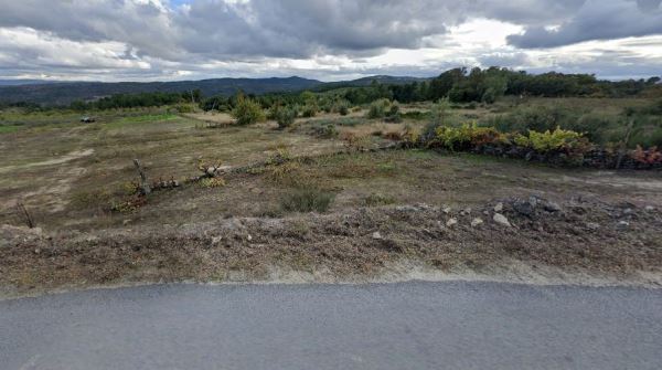 Terreno em Vila Flor com 12.000m2 Terreno em Vila Flor com 12.000m2