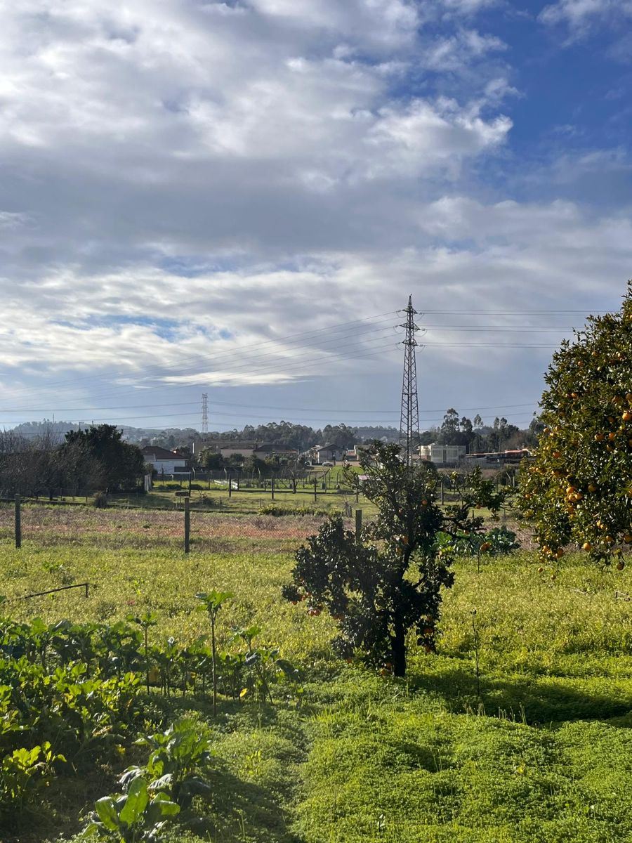 Terreno para Venda em Sandim, Olival, Lever e Crestuma