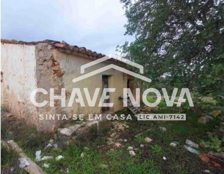 Negócio para Venda em Ferreiras