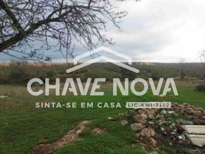 Negócio para Venda em Ferreiras