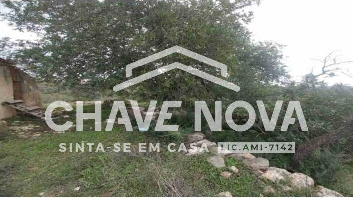 Negócio para Venda em Ferreiras