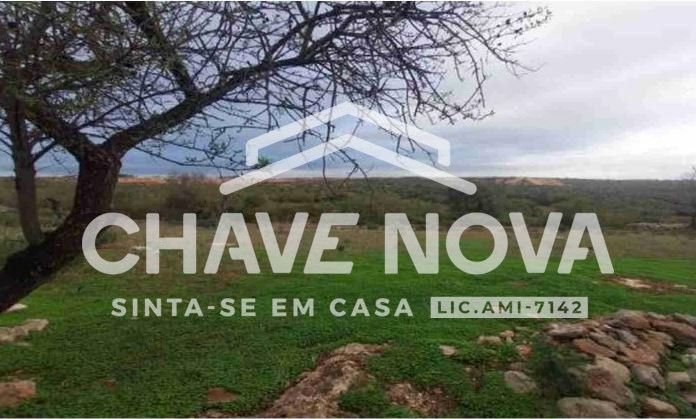 Negócio para Venda em Ferreiras