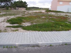 Housing estate mixed T0, para Sale