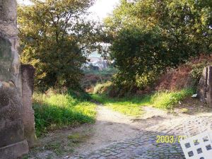 Housing estate mixed T0, para Sale