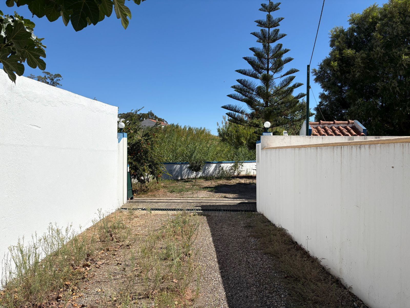 Quinta T0 para Venda em Palmela