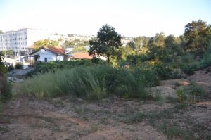 Terreno rústico para Compra