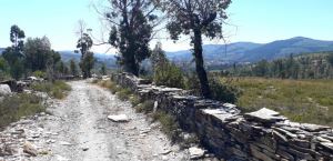 Terreno rústico para Compra