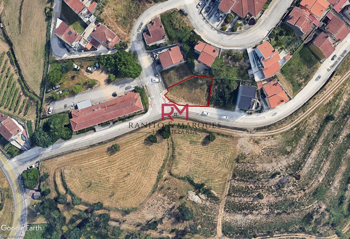 Terreno para Venda em Campo e Sobrado Foto 8