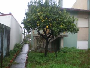 Drawer T3, para Sale