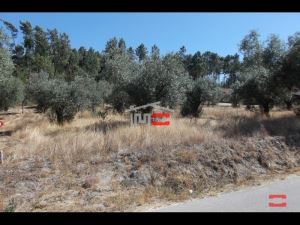 Mixed land, para Sale