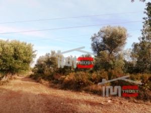 Mixed land, para Sale