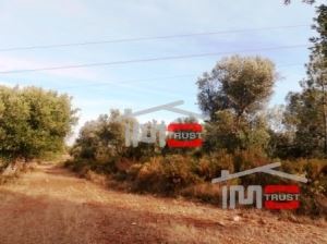 Mixed land, para Sale