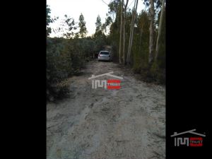 Mixed land, para Sale