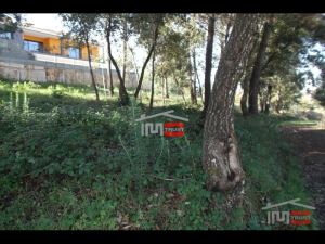 Mixed land, para Sale