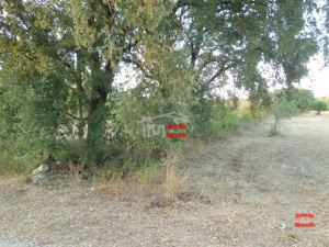 Mixed land, para Sale