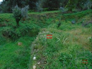 Mixed land, para Sale