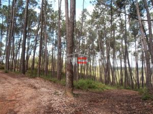 Mixed land, para Sale