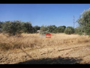 Mixed land, para Sale