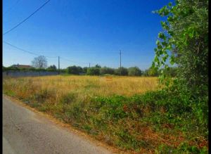 Mixed land, para Sale