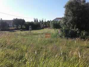 Mixed land, para Sale