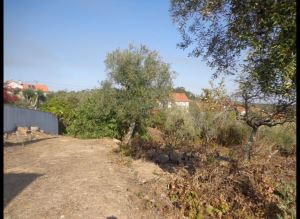 Mixed land, para Sale