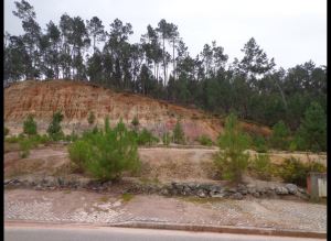 Mixed land, para Sale