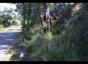 Mixed land, para Sale