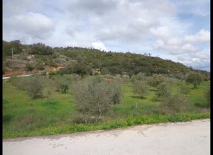 Mixed land, para Sale