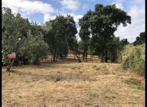 Mixed land, para Sale