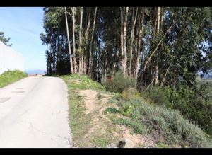 Mixed land, para Sale