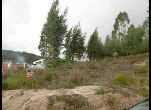 Mixed land, para Sale