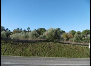 Mixed land, para Sale