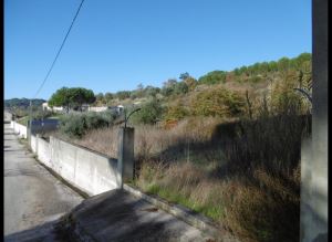 Mixed land, para Sale