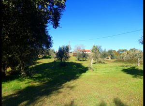 Mixed land, para Sale