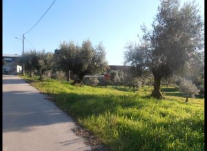 Mixed land, para Sale