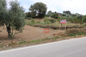 Mixed land, para Sale