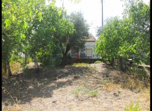 Detached house T2, para Sale