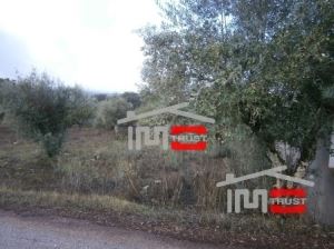 Mixed land, para Sale