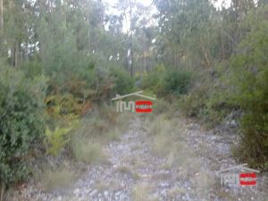 Mixed land, para Sale