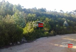 Mixed land, para Sale