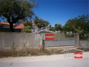 Mixed land, para Sale