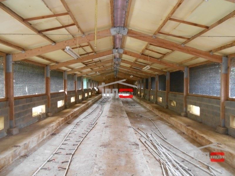 Moradia T8 para Venda em Fatima