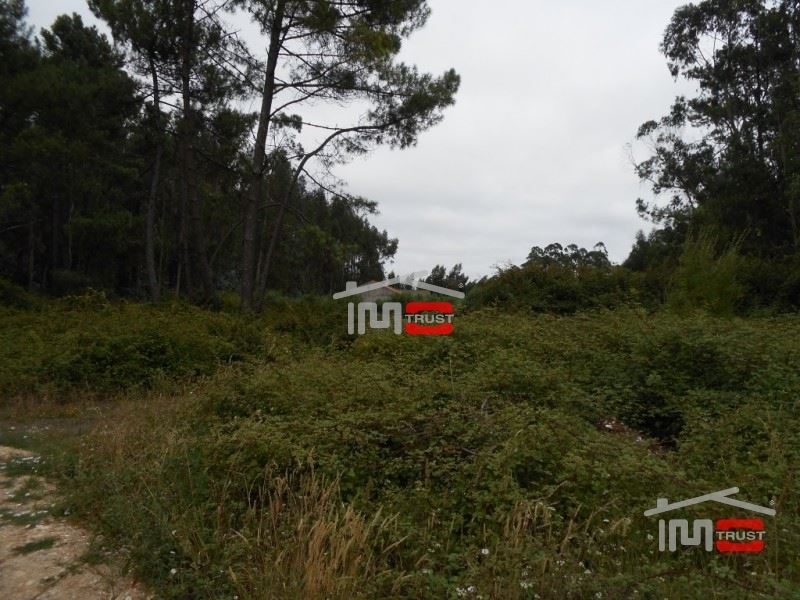 Moradia T8 para Venda em Fatima