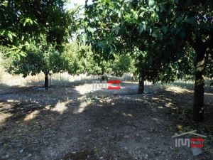 Mixed land, para Sale