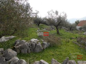 Mixed land, para Sale